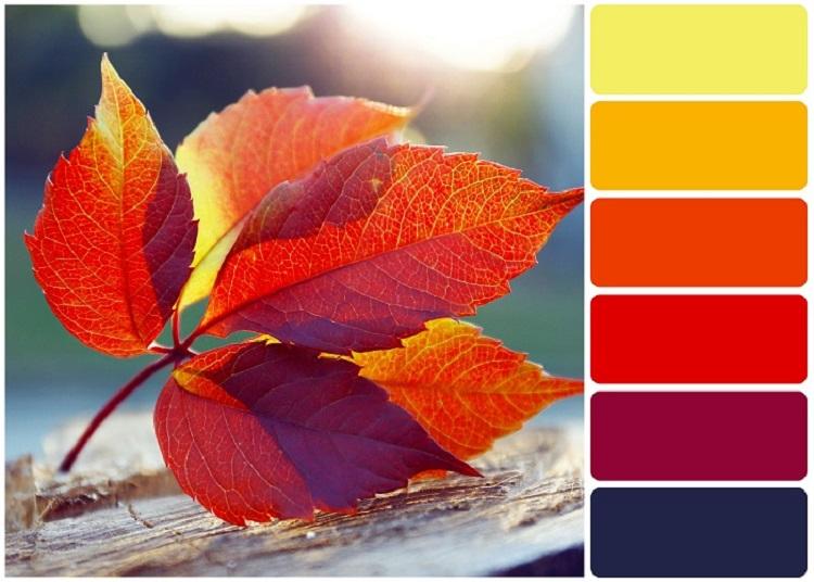 Color combination, residential painting, interior colors