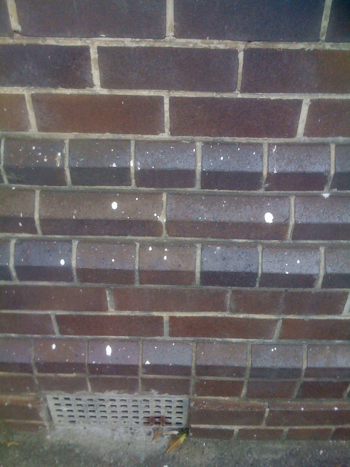 lead removal repaint 1