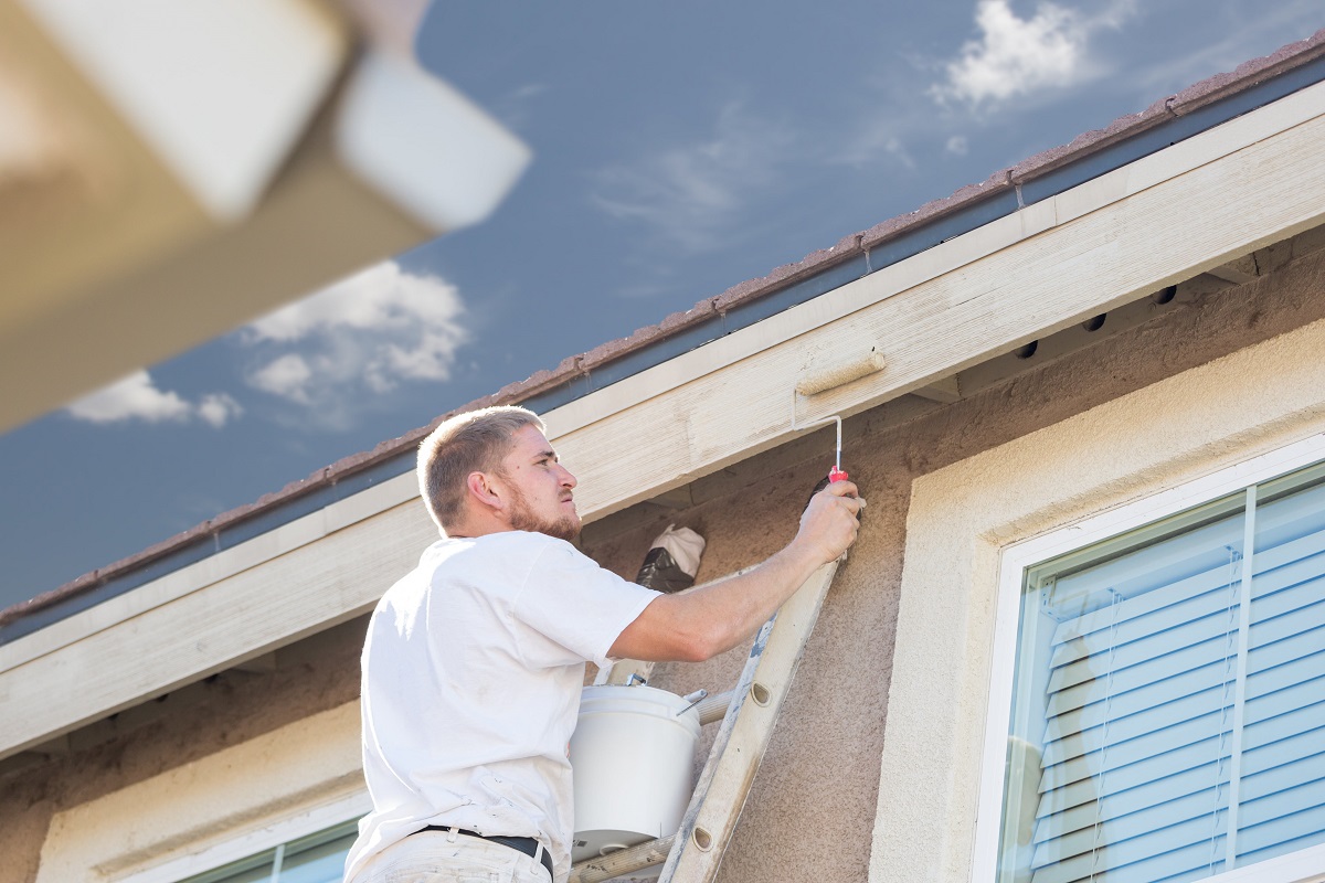 house painter Sydney