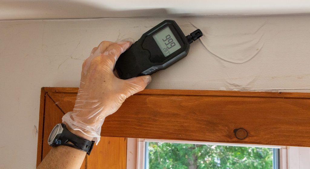 Indoor damp air quality testing of an indoor environmental quality assessor